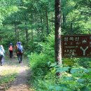 숲과계곡속으로 이미지