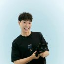 다홍 이미지