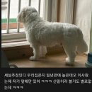 잔잔하고 소소하지만 행복한 여캡(귀여움 보장) 이미지