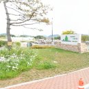 갯골생태공원(인포센터) 이미지