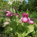 국립DMZ자생식물원방문자센터 이미지