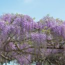 냉천2(안쪽) 이미지