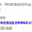 군민의날 공연 이미지