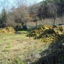 김영종 농장 이미지