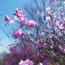 서부시장 이미지