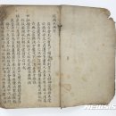 대전시립박물관 이미지