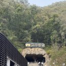 영사이언스 이미지