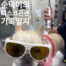 덕신동물병원 네이버블로그