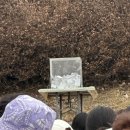 한정교 | 영주 :: 2025 영주 시민 건강 걷기대회 후기