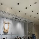 코크(Koch) | 뉴욕 여행 발레 공연 뉴욕시티발레단 티켓팅 예매, 드레스코드, 1층 시야, 사진촬영 후기