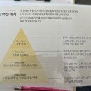 바이털독