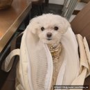 스테이수목 이미지