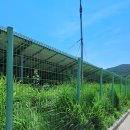 대동태양광발전소 | 부산,김해대동정수장태양광발전소예초(2025.7.1~3)