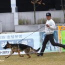 Gumiland 이미지