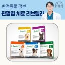 앨리스in동물병원 | 관절염 주사 '리브렐라' 부작용 걱정되시나요? 수의사가 직접 써본 후기(인천 송도 호랑이동물병원)