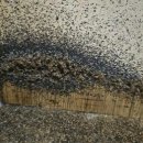 수정여인숙 이미지