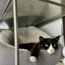 가평노팅힐계곡애견펜션A | [가평/애견동반가능 펜션] - 가평 계곡 애견펜션 <<노팅힐>> 후기 ••