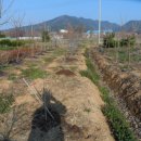 포포농장 이미지