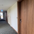 올레파크 | 서귀포 파크선샤인 제주 호텔 후기｜슈페리어 더블룸 조식 솔직 리뷰