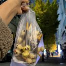 낭만식당 이미지