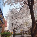 군포우체국 앞 이미지