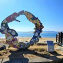 석양을 품은 물고기 이미지