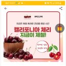 여주기계세탁 이미지