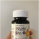 센스플러스