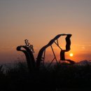 고흥-1호 이미지