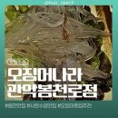 성현동-11 | 주민들만 안다는 오징어회 찐맛집🌊 오징어나라 솔직후기 🦑오징어뿐만 아니라 광어회도 뿌시기...