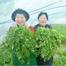 육동시장 이미지