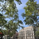 아름다운 아침 | [2025 스페인] 바르셀로나 피카소미술관 8월 성수기 방문 후기, 가는법, 무료 입장 이용하기