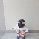 여시깽이