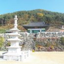 반룡사 - 531 | 반룡사