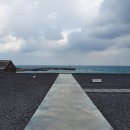 인공 + 자연 이미지