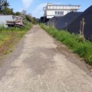 표선리-1 이미지