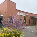 일월 | 4.11 (일) 수원 일월수목원 후기(개화상태, 입장료, 주차, 부현숯불돼지갈비, 카페 etc..)