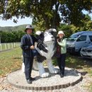 동상농장 이미지