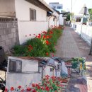 상서문로 이미지