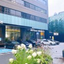재하컴퍼니 | <공덕역 맥주집 미스터리브루잉컴퍼니>