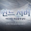 윈드소프트 이미지