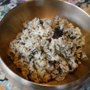 두꺼비 애견 이미지