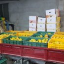 창원농장 이미지