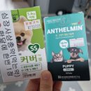 보보약국 이미지