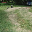 광옥농장 이미지