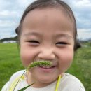 서아.1004 이미지