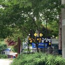 가평 가성비 글램핑장 추천 : 별똥별 글램핑&카라반 내돈내산 후기