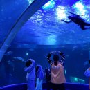 바다여행 이미지