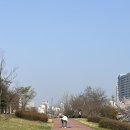 판교로256번길 이미지