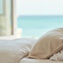 소노인터내셔널천안지점 이미지